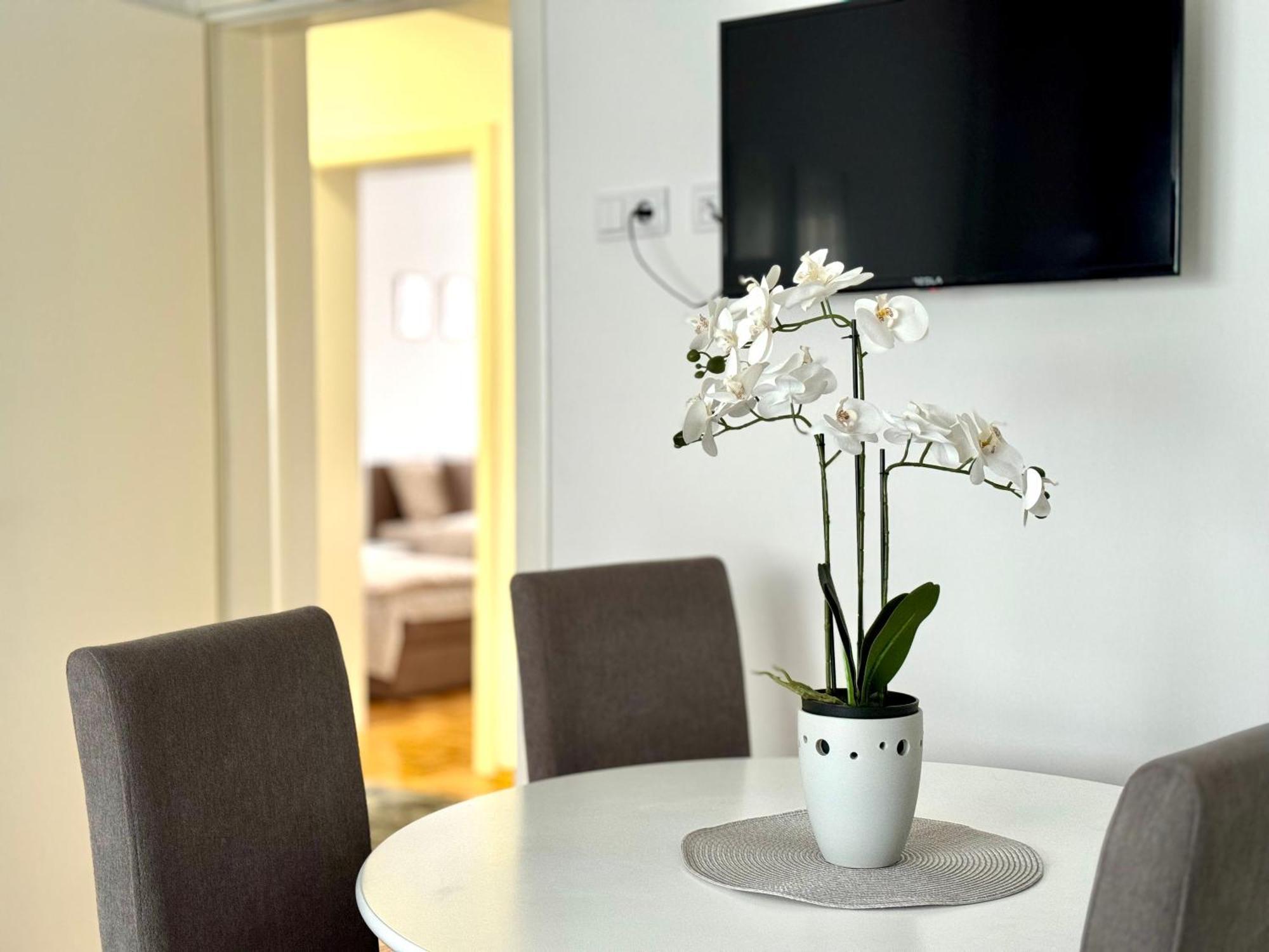 Gradiska Na Savi Apartmani I Sobe 外观 照片